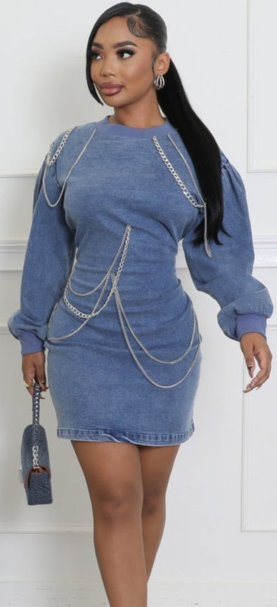 Everything Denim Dress